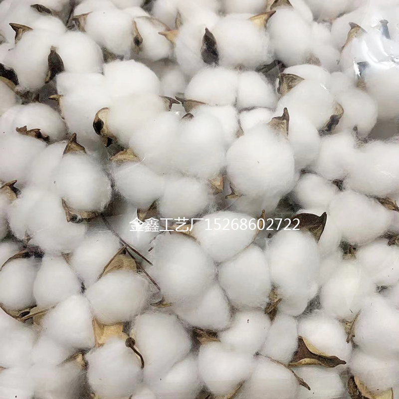 White Cotton Florist Supplies Wedding Car Decorative Wreaths Christmas Home Decor Diy Gifts Box Cheap Artificial Flowers White Cotton Florist Supplies Wedding Car Decorative Wreaths Christmas Home Decor Diy Gifts Box Cheap Artificial Flowers