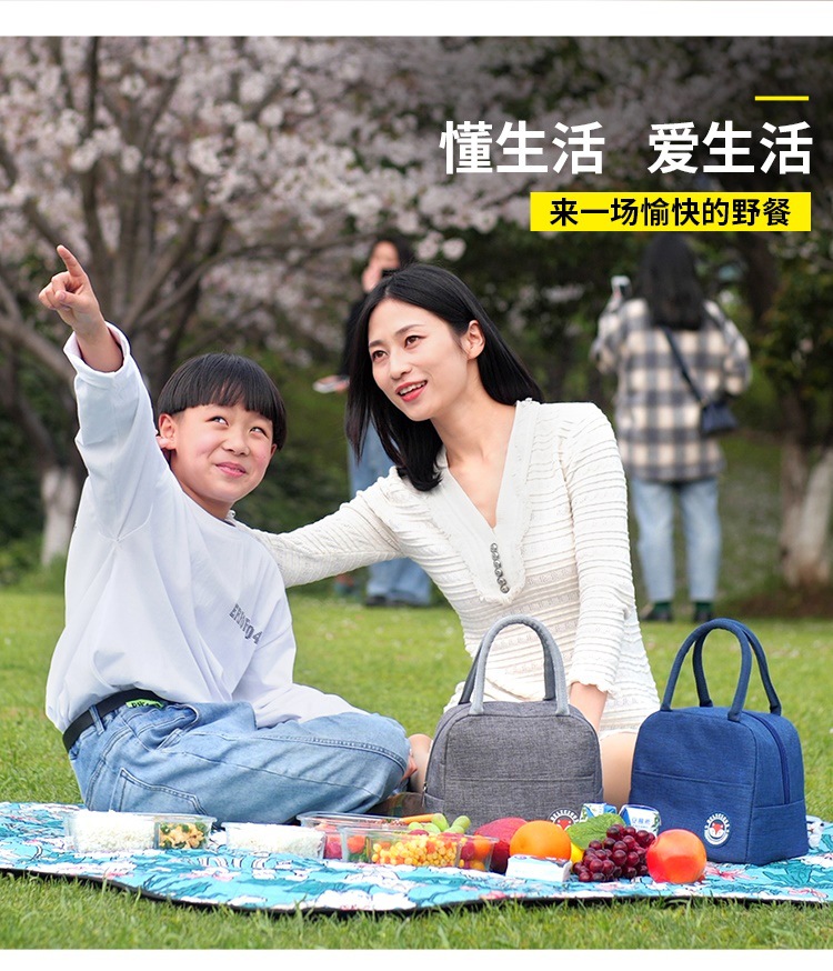 Student Portable Insulated Bag Fresh-Keeping Picnic Bag Work Portable Lunch Box Thermal Insulation Lunch Bag Lunch Box Bag