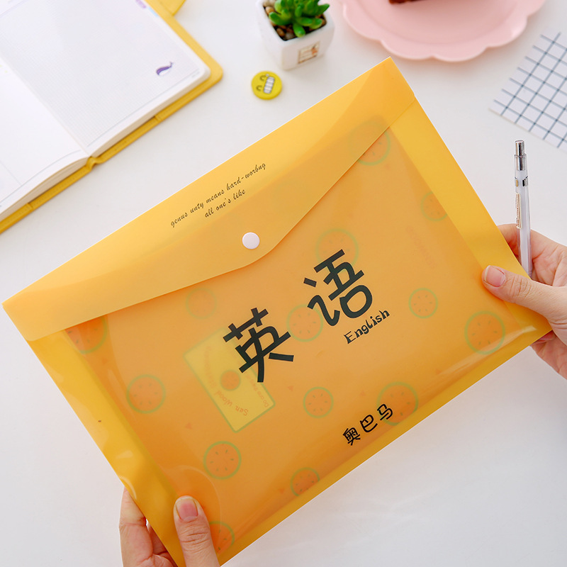 Educational Edition Student Cute A4 Examination Paper File Bag Fresh Transparent Folder Snap Information Bag Office Supplies