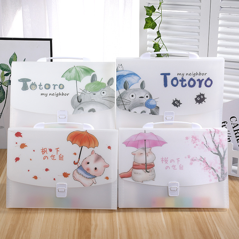 A4 Cartoon Transparent Totoro Folder Information Bag 13 Grid Pp Student Test Paper Storage Stationery Portable Organ Bag