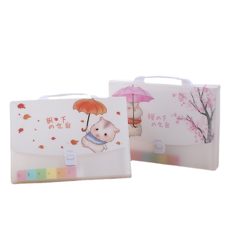 A4 Cartoon Transparent Totoro Folder Information Bag 13 Grid Pp Student Test Paper Storage Stationery Portable Organ Bag