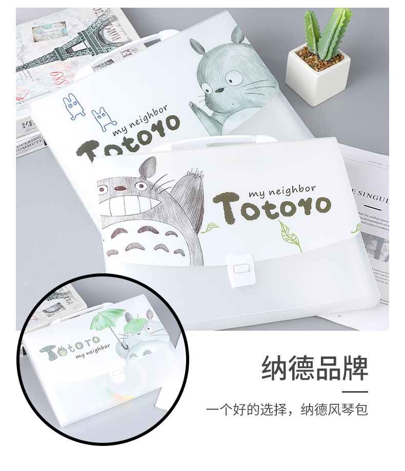 A4 Cartoon Transparent Totoro Folder Information Bag 13 Grid Pp Student Test Paper Storage Stationery Portable Organ Bag