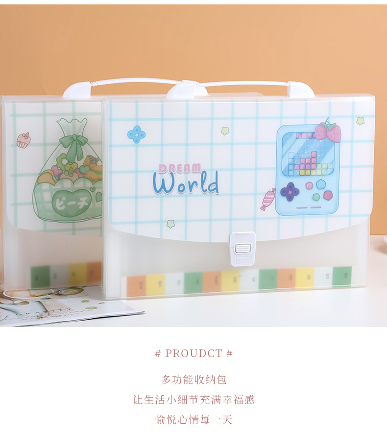 A4 Cartoon Transparent Totoro Folder Information Bag 13 Grid Pp Student Test Paper Storage Stationery Portable Organ Bag