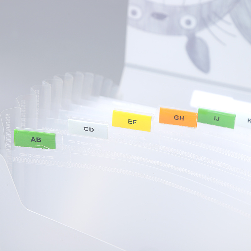 A4 Cartoon Transparent Totoro Folder Information Bag 13 Grid Pp Student Test Paper Storage Stationery Portable Organ Bag
