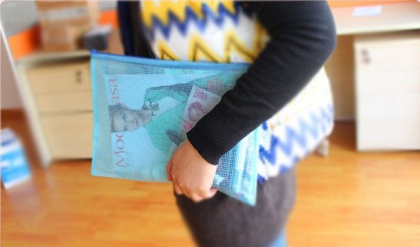 Wholesale Office Supplies Grid File Bag A4 A3 Transparent Information Bag Portable Zipper Bag PVC File Bag