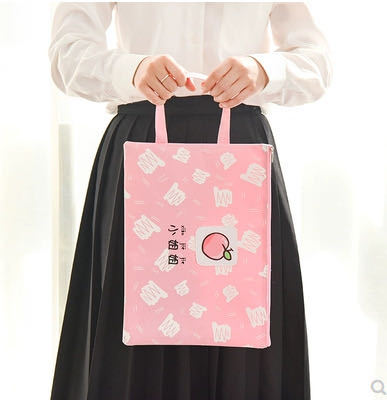 Japanese Ins Harajuku Girl Canvas File Bag Learning Information Bag Paper Storage Student Bag Tutorial Office Bag