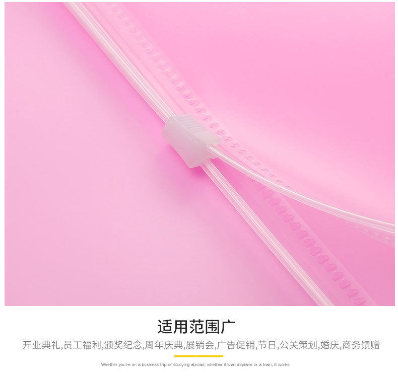 Pp Multi-Color Subject Bag A4 Flat Zipper Bag Information Bag Document Storage [Wholesale and Retail] Spot Supply