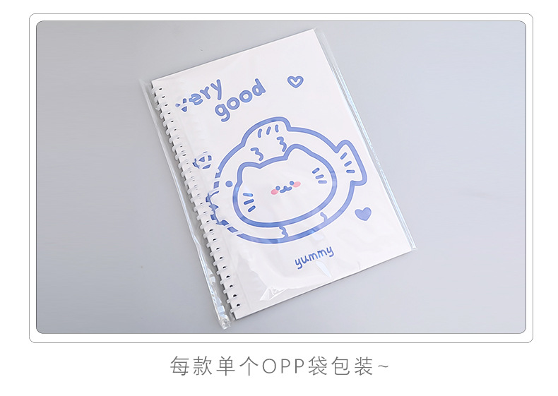 Simple Ins Bear Notebook Fresh B5 Loose-Leaf Coil Notebook Student Transparent Frosted Mesh Journal Book Simple Ins Bear Notebook Fresh B5 Loose-Leaf Coil Notebook Student Transparent Frosted Mesh Journal Book