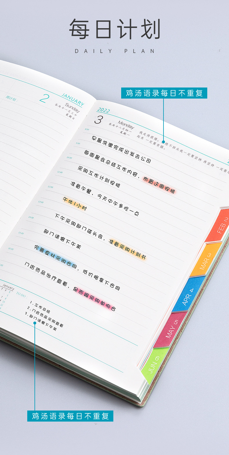 2022 Tiger Year Schedule Book 365 Days Soft Leather Notepad Time Management Plan Calendar Self-Discipline Notebook