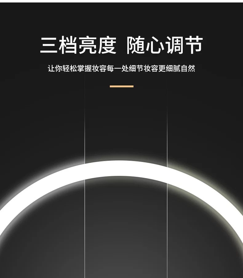 Large Led Rotating Makeup Mirror with Bulb Touch Fill Light Storage Dressing Mirror Three-Color Dimming European-Style Bulb Mirror