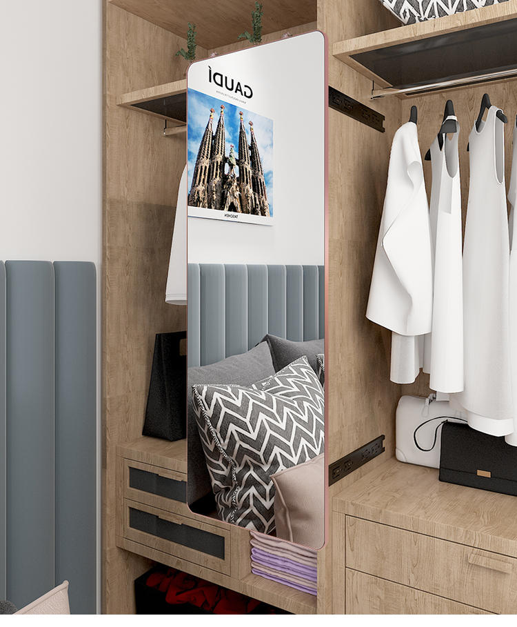 Wardrobe Built-in Push-Pull Rotating Dressing Mirror Small Apartment Cabinet with Invisible Retractable Folding Full Body Fitting