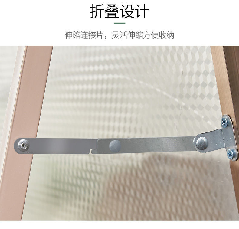 Floor Mirror Home Full Body Mirror Simple Internet Celebrity Girly Bedroom Dressing Mirror Clothing Store Student Dormitory Full-Length Mirror