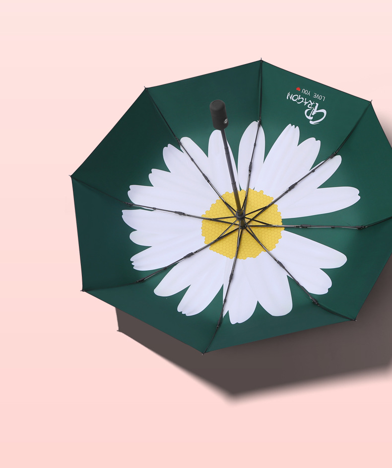 falls under the Umbrella full and small Daisy which falls under the Umbrella of the Sunny Rain Dual sun Umbrella whole falls under the Umbrella full and small Daisy which falls under the Umbrella of the Sunny Rain Dual sun Umbrella whole