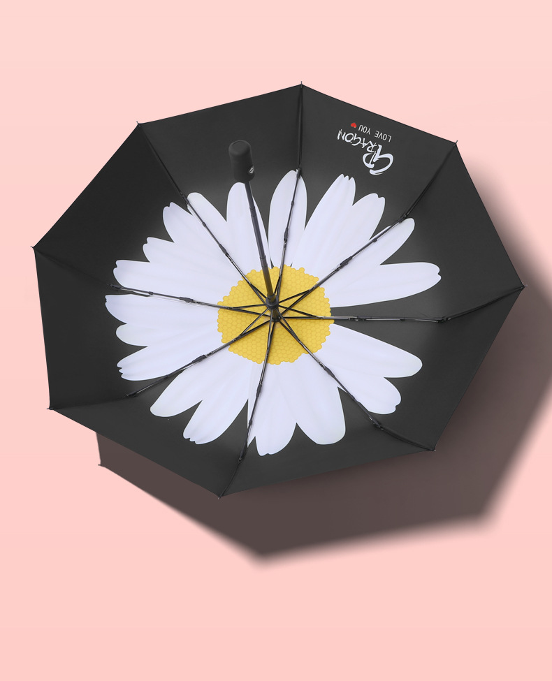 falls under the Umbrella full and small Daisy which falls under the Umbrella of the Sunny Rain Dual sun Umbrella whole falls under the Umbrella full and small Daisy which falls under the Umbrella of the Sunny Rain Dual sun Umbrella whole