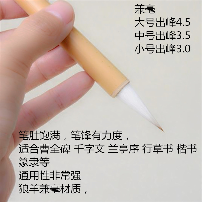 Doubled Both Writing Brush Set Calligraphy Materials Weasel's and Goat's Hair Primary and Middle School Students Calligraphy and Painting Traditional Chinese Painting Watercolor Painting Fine Brushwork Freehand Brushwork Ou Kai