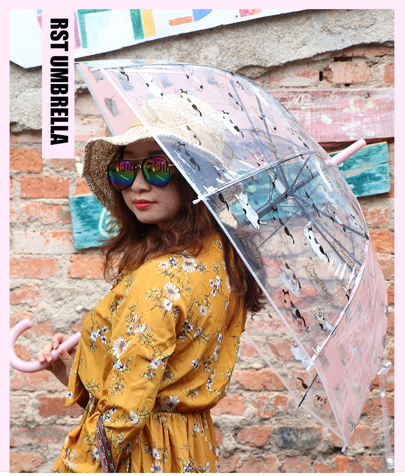 RST umbrella export Europe cute cartoon cat transparent environmental protection Apollo birdcage umbrella RST umbrella export Europe cute cartoon cat transparent environmental protection Apollo birdcage umbrella