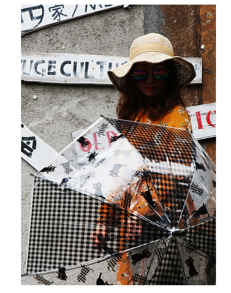 RST umbrella export Europe cute cartoon cat transparent environmental protection Apollo birdcage umbrella RST umbrella export Europe cute cartoon cat transparent environmental protection Apollo birdcage umbrella