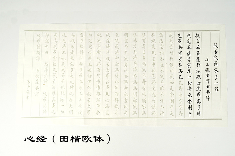 Qiumixuan New Portable Pen-Type Writing Brush Regular Script in Small Characters Calligraphy Copy Scripture Wolf Hair Brush Can Add Ink Art Beauty Soft Pen