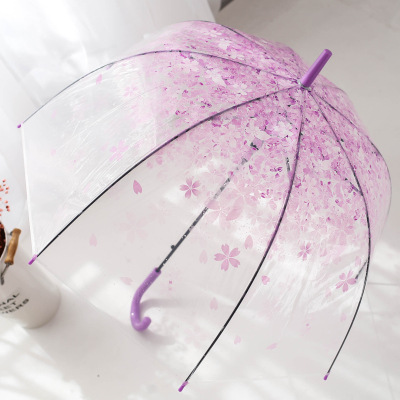 Spot retro candy color Fresh Apollo Princess Transparent umbrella cherry umbrella long handle transparent straight umbrella