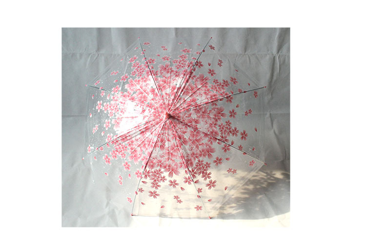 Spot retro candy color Fresh Apollo Princess Transparent umbrella cherry umbrella long handle transparent straight umbrella
