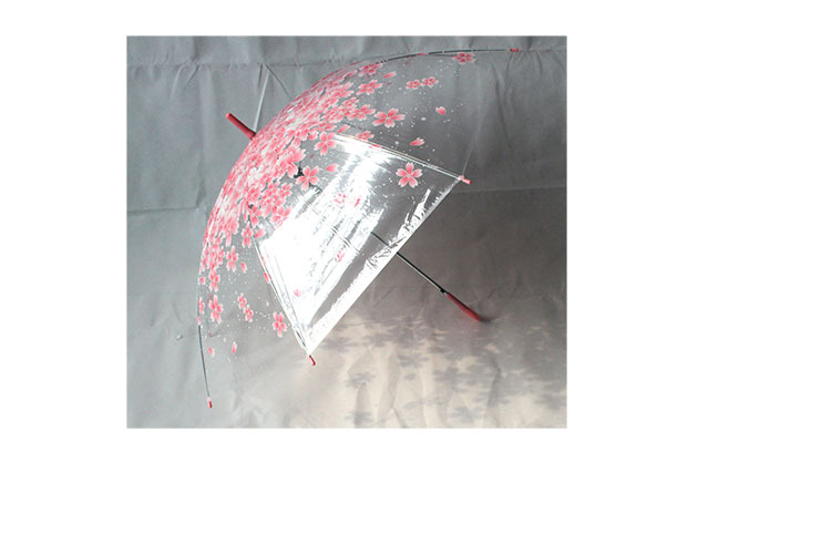 Spot retro candy color Fresh Apollo Princess Transparent umbrella cherry umbrella long handle transparent straight umbrella