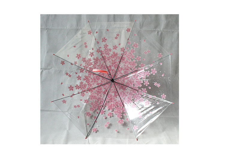 Spot retro candy color Fresh Apollo Princess Transparent umbrella cherry umbrella long handle transparent straight umbrella