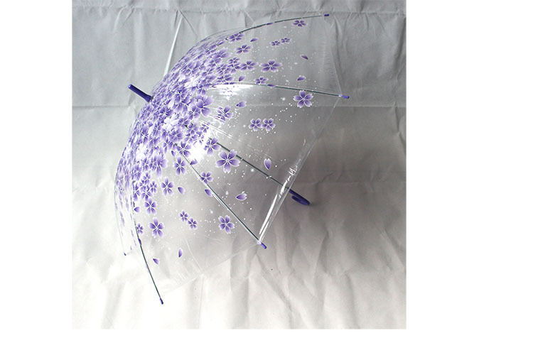 Spot retro candy color Fresh Apollo Princess Transparent umbrella cherry umbrella long handle transparent straight umbrella