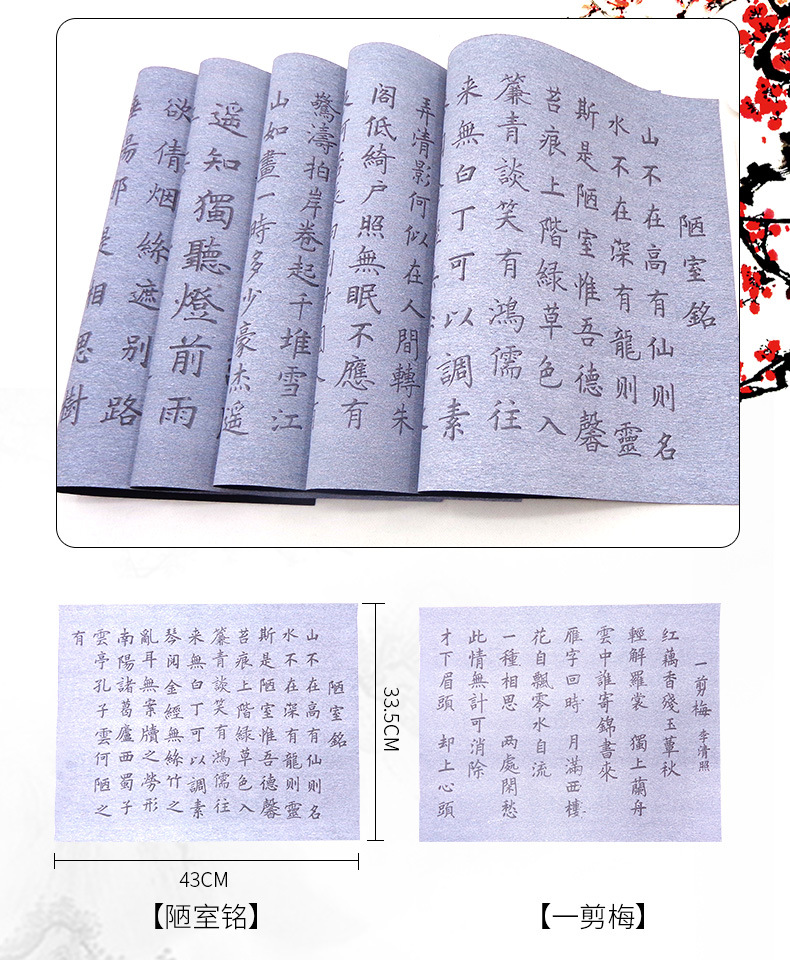 Writing Brush Copybook Water Writing Cloth Set Beginner Clear Water Calligraphy Practice Copy Quick-Drying Cloth Entry Student