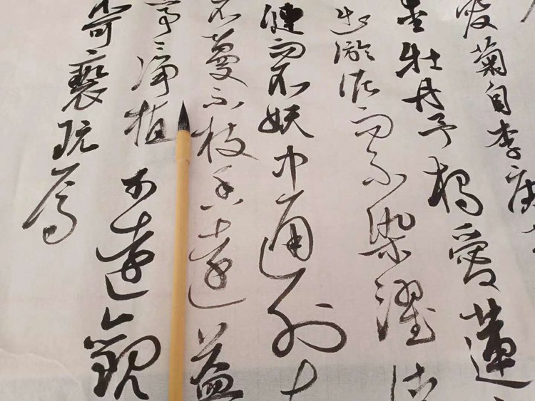 Weasel's and Goat's Hair Flexible Pen Tip, Flexible and Free to Close the Front Ou Kai Regular Script Calligraphy Creation Practice Writing Brush