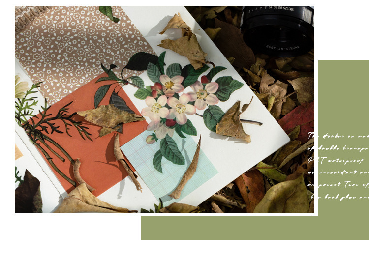 Pet Sticker Bag Afternoon Forest Series Retro Flower Journal Diary Material Decoration Stickers 6