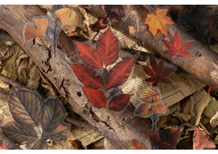 Pet Sticker Bag Afternoon Forest Series Retro Flower Journal Diary Material Decoration Stickers 6