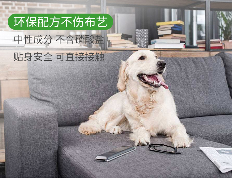 Fabric Sofa Cleaning Agent Water-Free Cleaning Agent Wall Cloth Carpet Curtain Dry Cleaning Foamed Cleaner