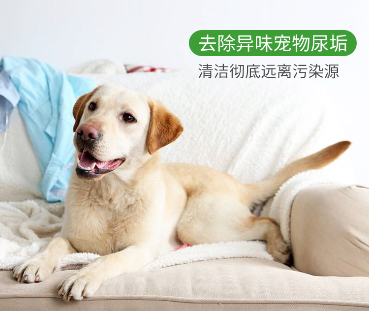 Fabric Sofa Cleaning Agent Water-Free Cleaning Agent Wall Cloth Carpet Curtain Dry Cleaning Foamed Cleaner