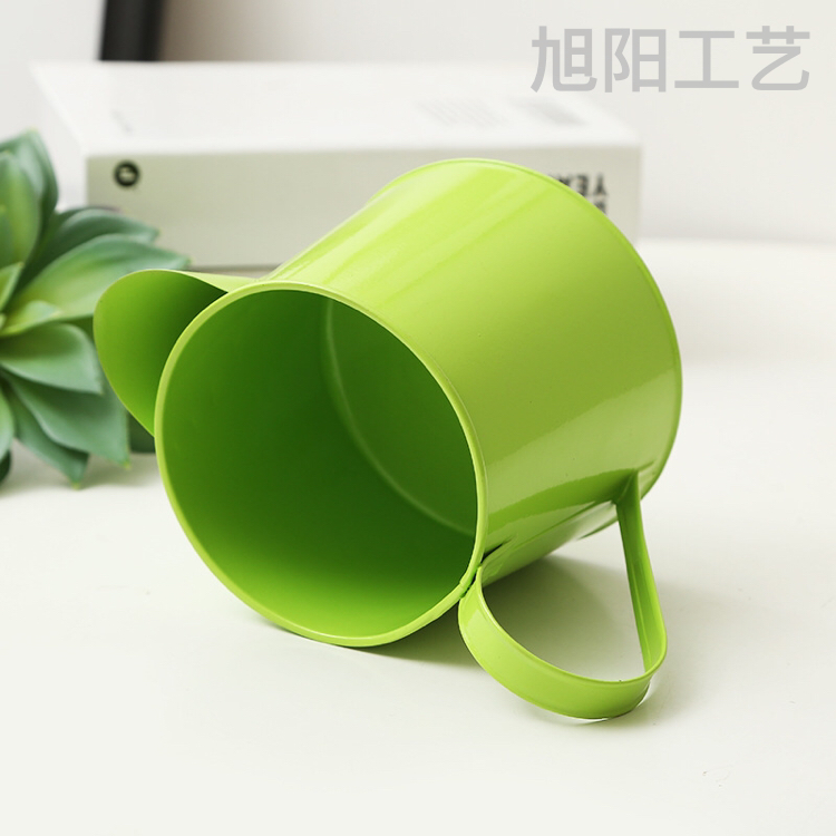 Large Wall-Hung Basin Removable Hook Flower Pot Iron Leather Art Hanging Pots Hanging Hanging Succulent Color Decorative Wall Hangings Flower Pot
