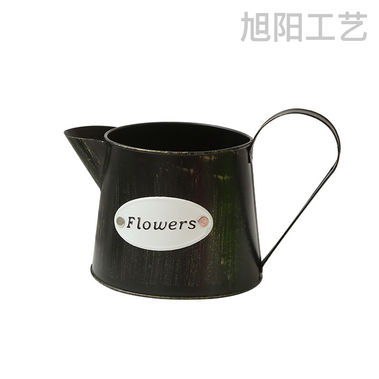 Large Wall-Hung Basin Removable Hook Flower Pot Iron Leather Art Hanging Pots Hanging Hanging Succulent Color Decorative Wall Hangings Flower Pot
