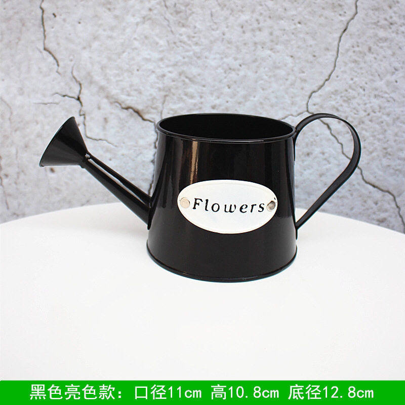 Large Wall-Hung Basin Removable Hook Flower Pot Iron Leather Art Hanging Pots Hanging Hanging Succulent Color Decorative Wall Hangings Flower Pot