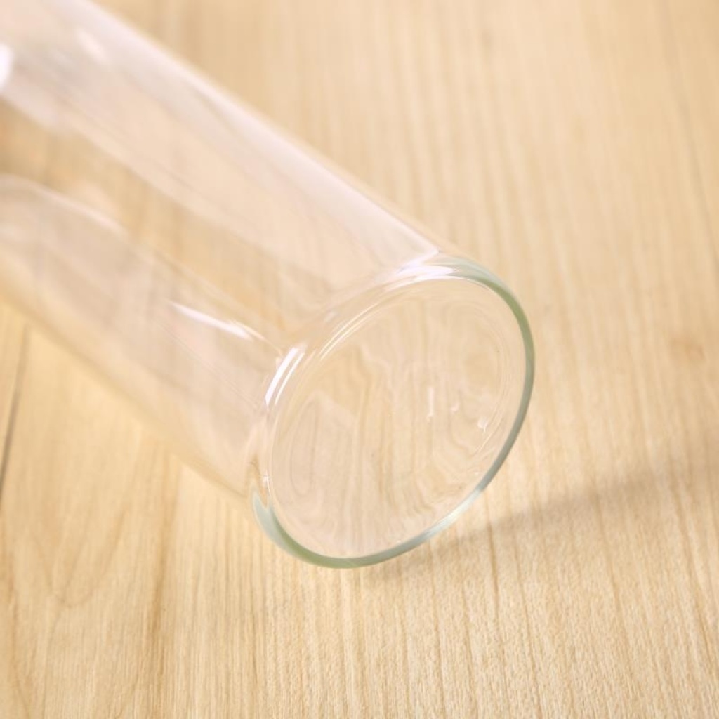 Water Cup Glass High Borosilicate Glasses Portable Glass Insulated Glass Cup 550Ml Glass