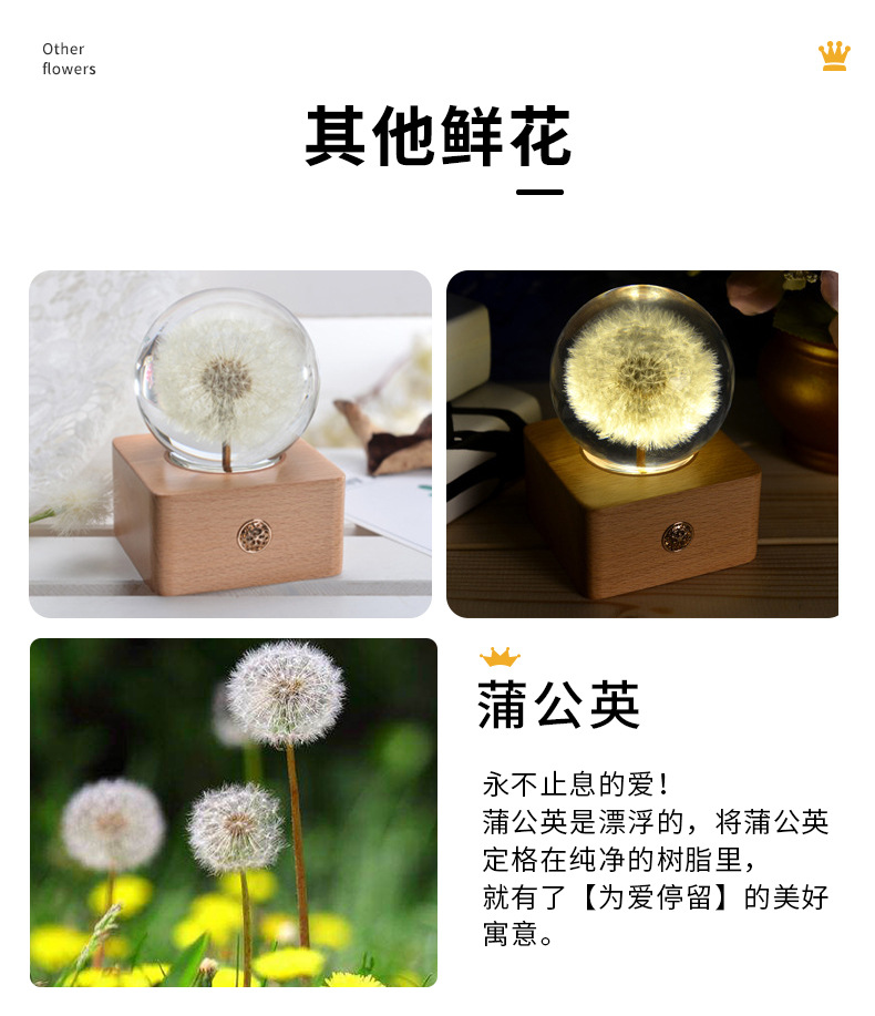 Resin crafts  Specimen Wholesale Creative Crystal Ball Christmas Birthday Decorative Gift Small Night Lamp