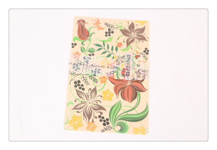 Bao shu ya dining mat new household table heat insulation pad PVC dinner mat cup pad