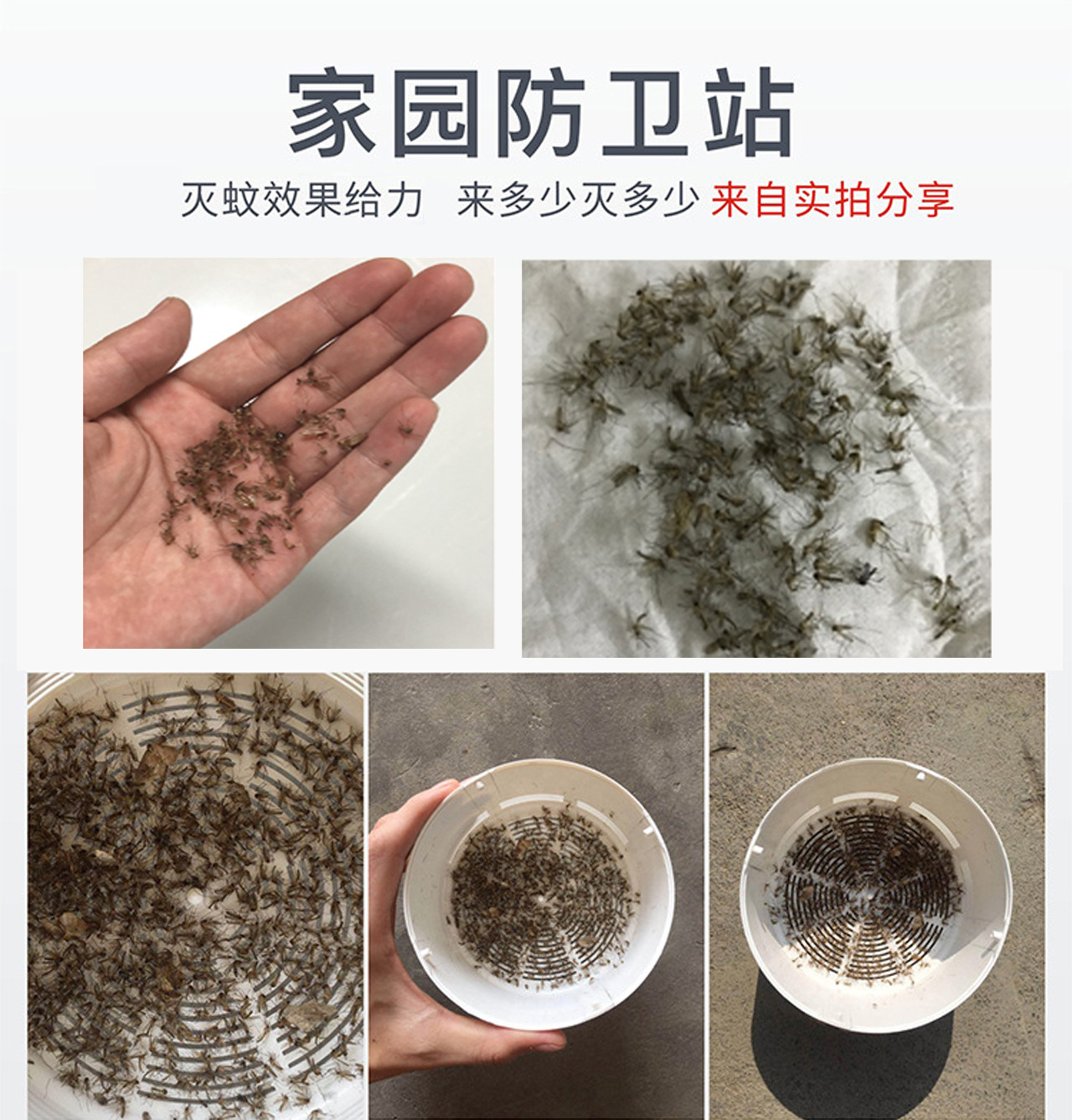 Lamp Photocatalyst Household Mosquito Repellent Mosquito Killer Mosquito Trap Lamp Mosquito Swatter TwoinOne Whole