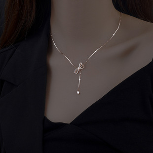 S925 Sterling Silver Necklace Women's All-Match Little Swan Jeweled Pendant Light Luxury Minority Design High-Grade Sweater Chain Autumn and Winter