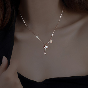 S925 Sterling Silver Necklace Women's All-Match Little Swan Jeweled Pendant Light Luxury Minority Design High-Grade Sweater Chain Autumn and Winter