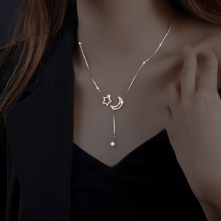 S925 Sterling Silver Necklace Women's All-Match Little Swan Jeweled Pendant Light Luxury Minority Design High-Grade Sweater Chain Autumn and Winter