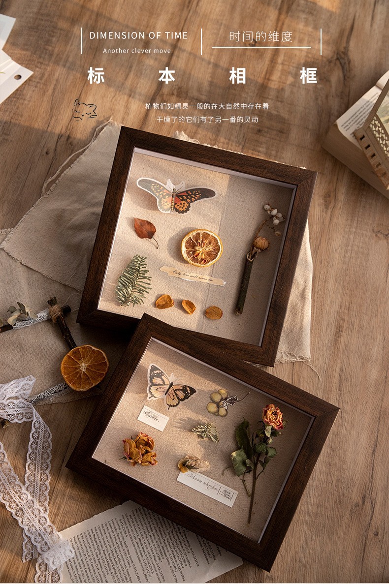 Vintage Dried Flower Photo Frame Wooden Hollow Three-Dimensional Decoration Photo Frame Square Floral Dried Flower Picture Frame Animal and Plant Specimen Box