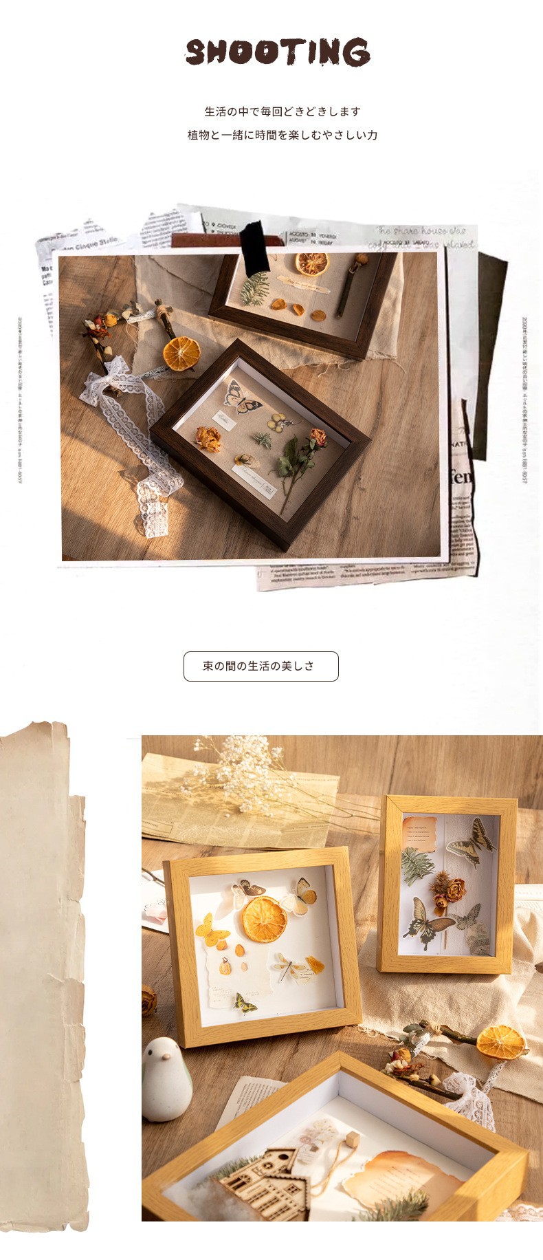 Vintage Dried Flower Photo Frame Wooden Hollow Three-Dimensional Decoration Photo Frame Square Floral Dried Flower Picture Frame Animal and Plant Specimen Box