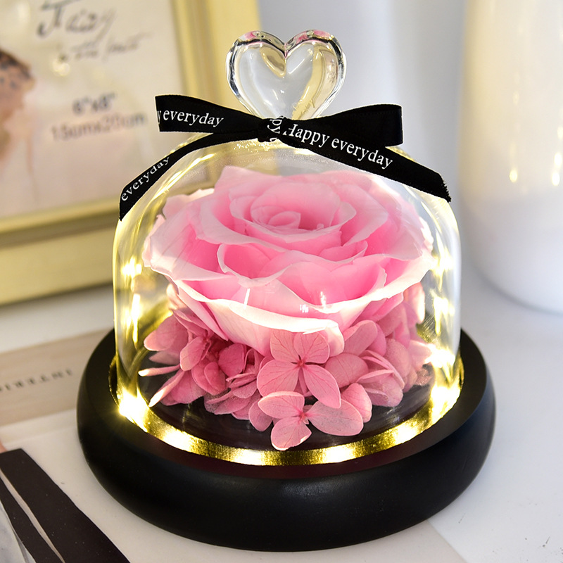 Preserved Fresh Flower Gift Christmas Valentine&#039;s Day Creative Gift Glass Cover Rose Dried Flower Manufacturer Amazon Cross-Border