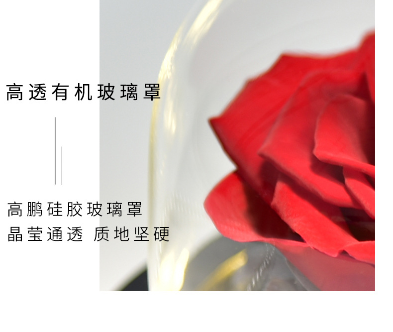 Preserved Fresh Flower Gift Christmas Valentine's Day Creative Gift Glass Cover Rose Dried Flower Manufacturer Amazon Cross-Border