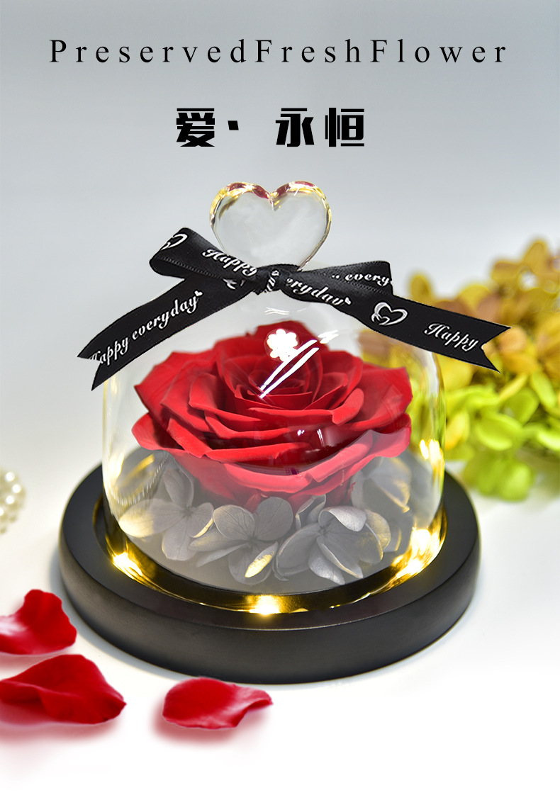 Preserved Fresh Flower Gift Christmas Valentine's Day Creative Gift Glass Cover Rose Dried Flower Manufacturer Amazon Cross-Border