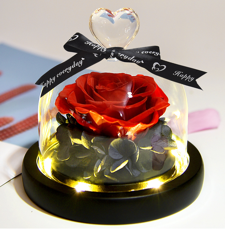 Preserved Fresh Flower Gift Christmas Valentine's Day Creative Gift Glass Cover Rose Dried Flower Manufacturer Amazon Cross-Border