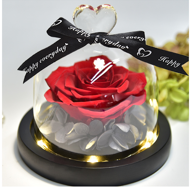 Preserved Fresh Flower Gift Christmas Valentine's Day Creative Gift Glass Cover Rose Dried Flower Manufacturer Amazon Cross-Border
